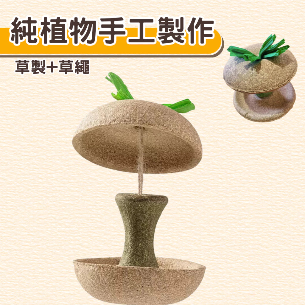 🍎🍎小寵磨牙蘋果核玩具 天然安全耐啃咬
