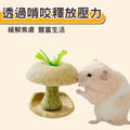 🍎🍎小寵磨牙蘋果核玩具 天然安全耐啃咬