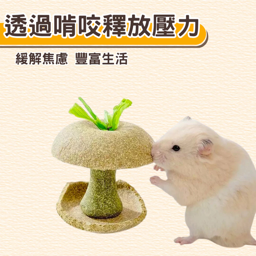 🍎🍎小寵磨牙蘋果核玩具 天然安全耐啃咬