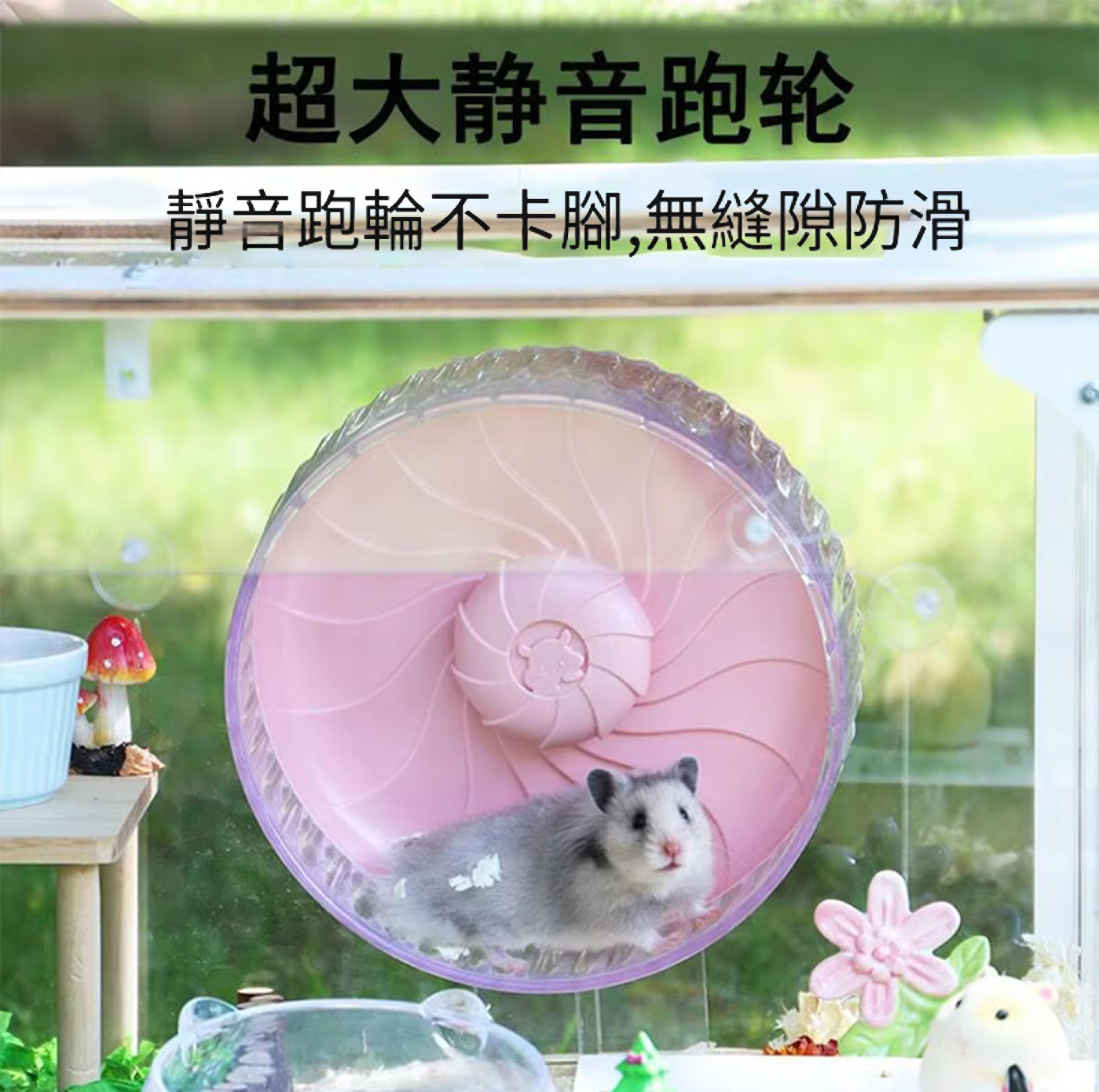 🔥🔥亞克力透明倉鼠籠子 80cm 大空間飼養箱 豪華別墅造景窩