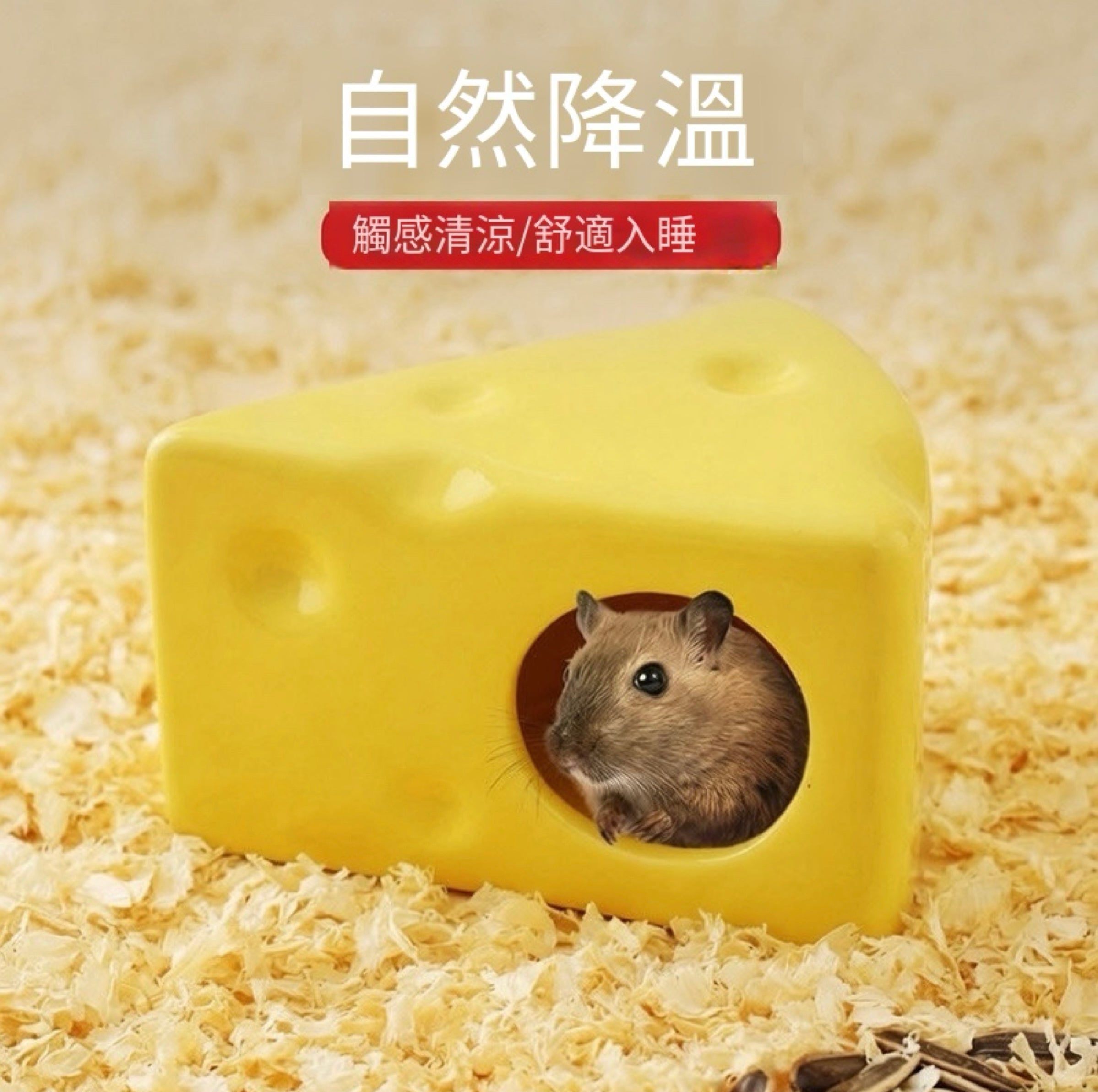 瓷窩 🧀起司造型躲避屋 + 食盆 四季造景適用🔥🔥🔥