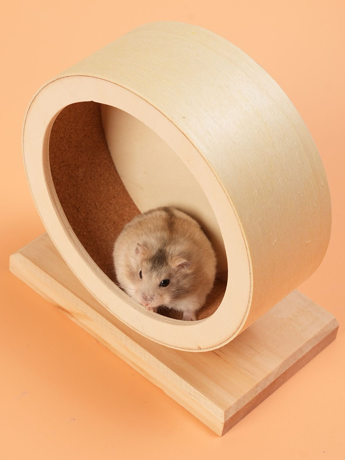 🐹倉鼠跑輪🪀 木頭 靜音跑輪 跑輪 倉鼠靜音跑輪 倉鼠 小號 超大號 加大跑輪 倉鼠 金絲熊 天竺鼠車 松鼠 花枝鼠 刺猬