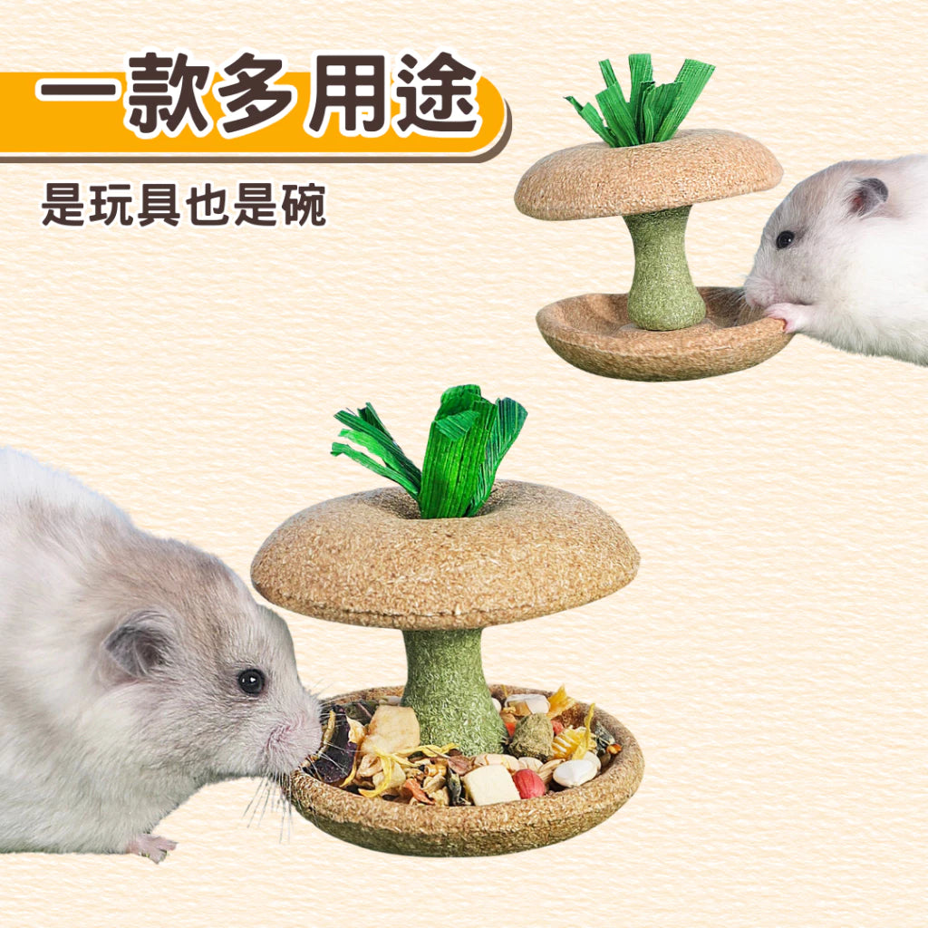 🍎🍎小寵磨牙蘋果核玩具 天然安全耐啃咬