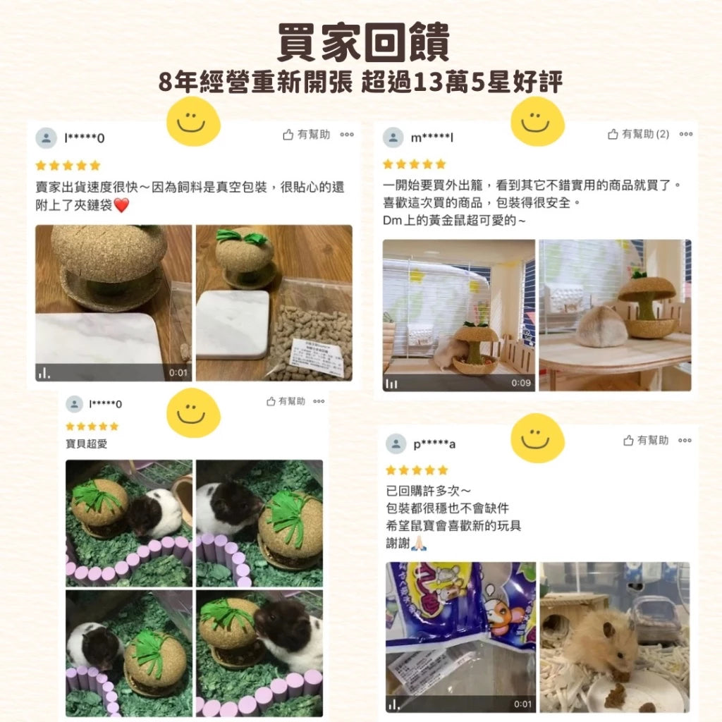 🍎🍎小寵磨牙蘋果核玩具 天然安全耐啃咬