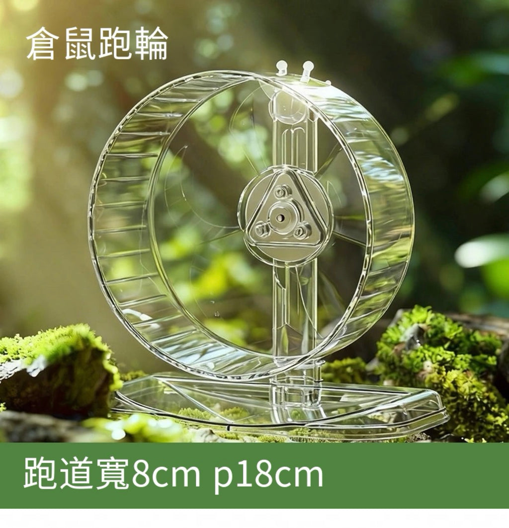 🏃‍♂️🐹超透倉鼠超靜音跑輪｜🔥鼠鼠的專屬健身道🔥