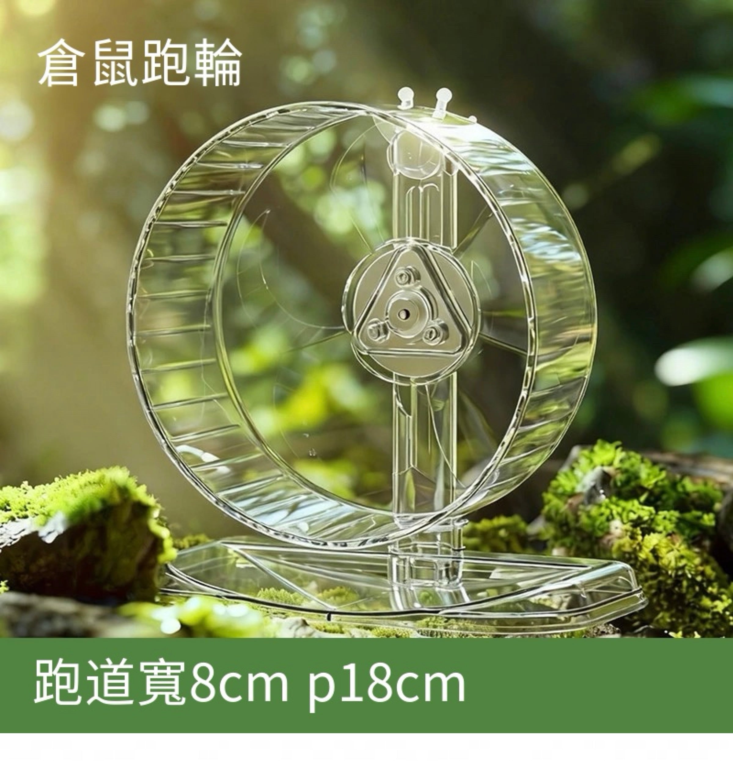 🏃‍♂️🐹超透倉鼠超靜音跑輪｜🔥鼠鼠的專屬健身道🔥