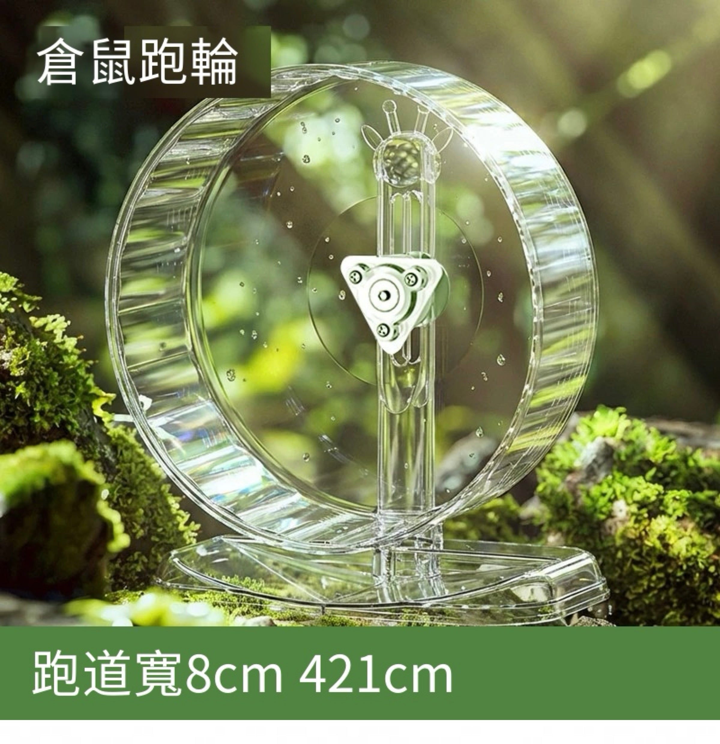 🏃‍♂️🐹超透倉鼠超靜音跑輪｜🔥鼠鼠的專屬健身道🔥