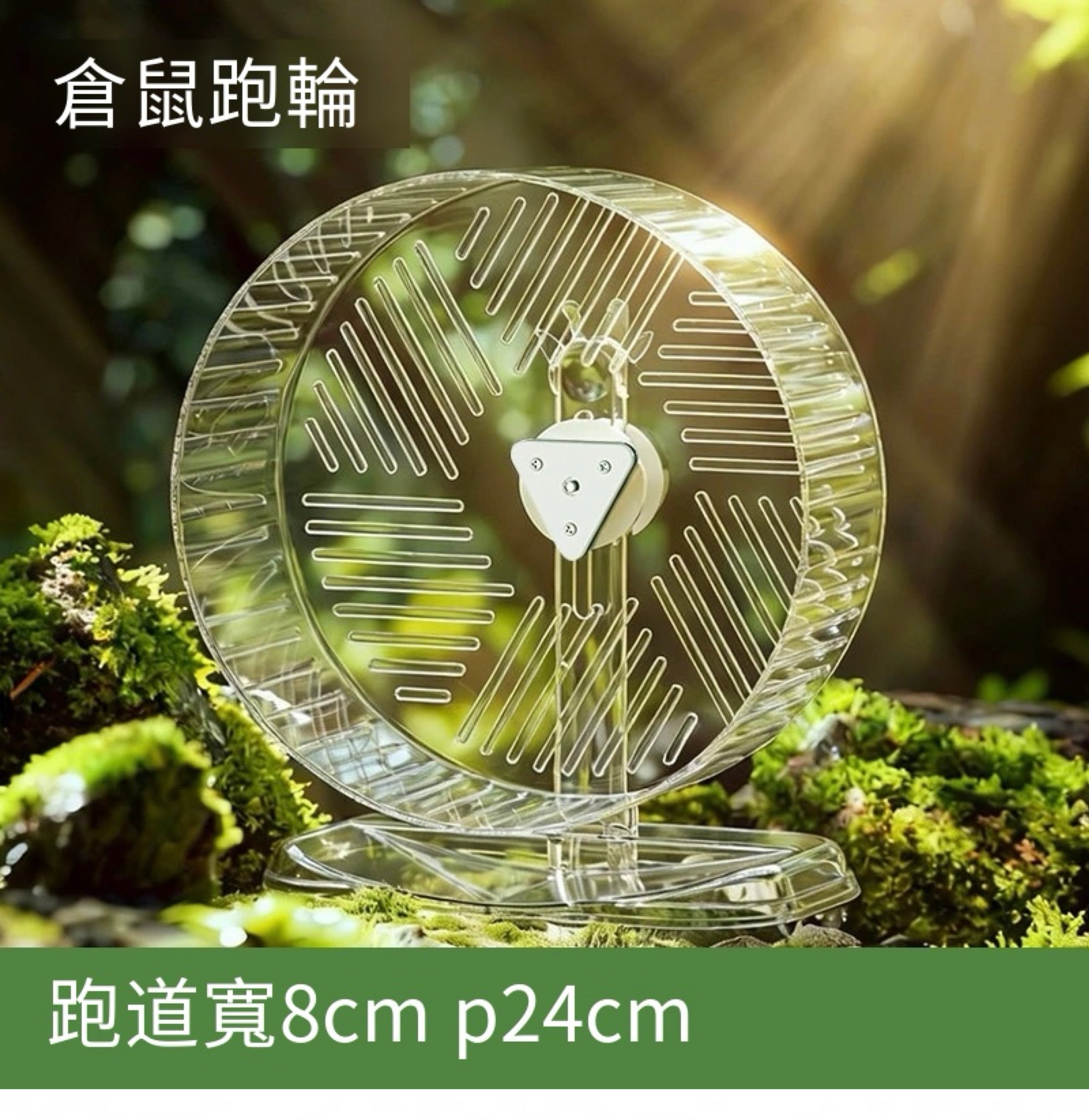 🏃‍♂️🐹超透倉鼠超靜音跑輪｜🔥鼠鼠的專屬健身道🔥