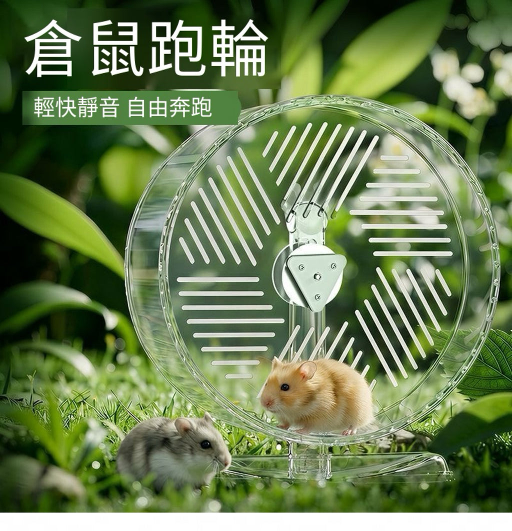 🏃‍♂️🐹超透倉鼠超靜音跑輪｜🔥鼠鼠的專屬健身道🔥