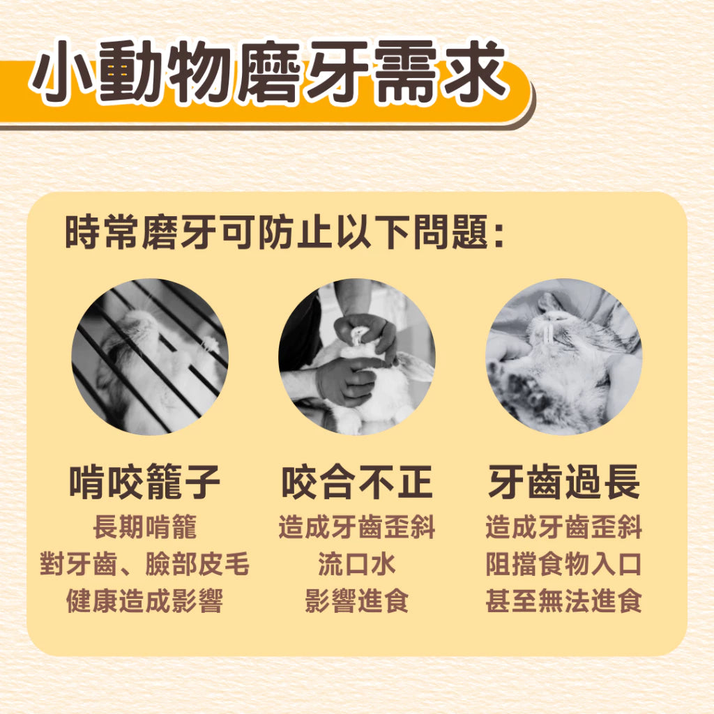 🍎🍎小寵磨牙蘋果核玩具 天然安全耐啃咬
